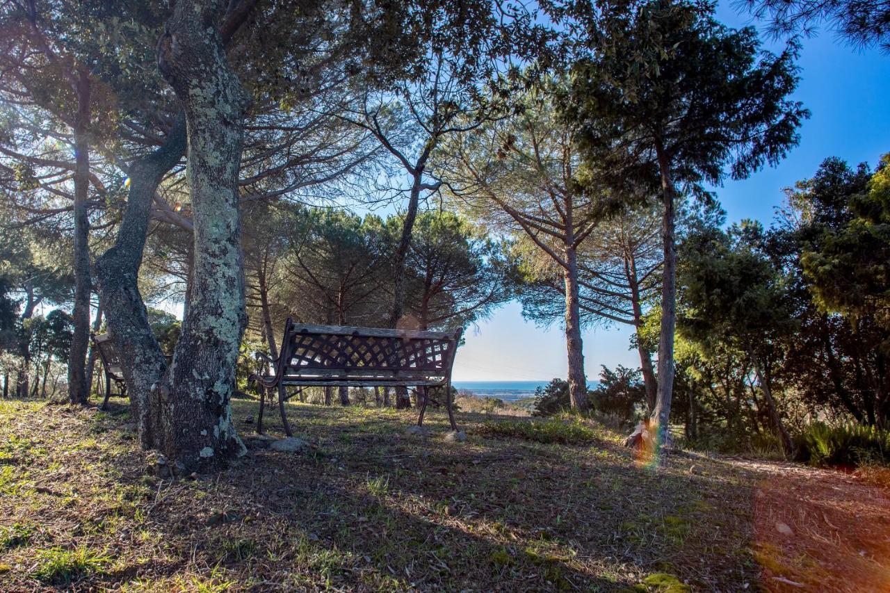 Glamping Debbiare Hotell Riparbella Eksteriør bilde